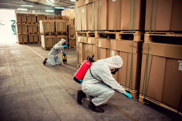 Best Residential Pest Control  in Nedrow, NY