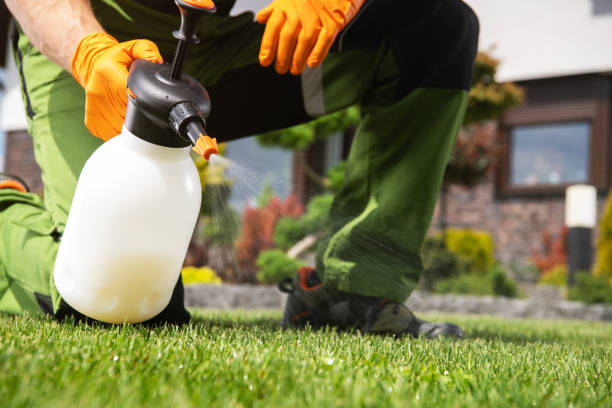 Best Insect Control  in Nedrow, NY